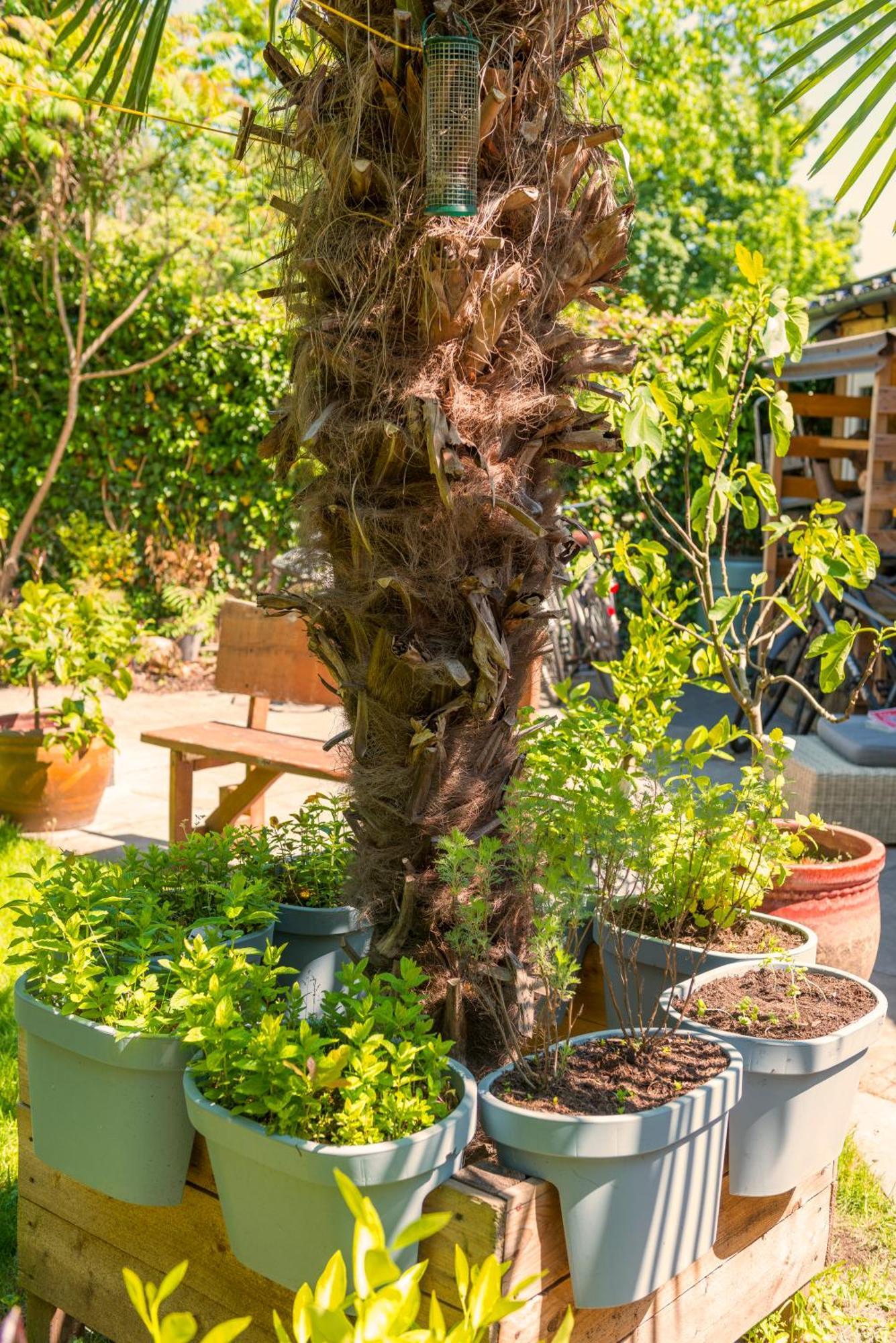 Tiny House - Leenfietsen, Eigen Keuken En Badkamer Nijmegen Zewnętrze zdjęcie