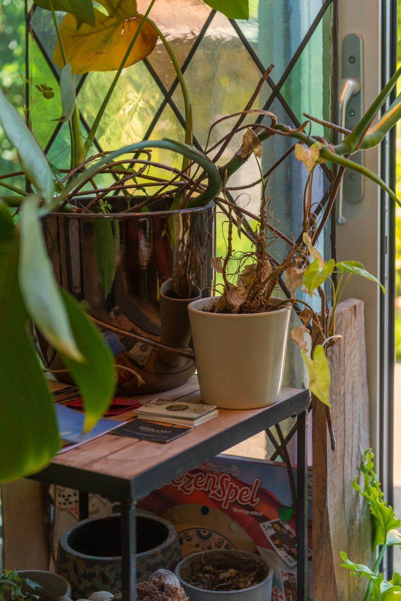 Tiny House - Leenfietsen, Eigen Keuken En Badkamer Nijmegen Zewnętrze zdjęcie